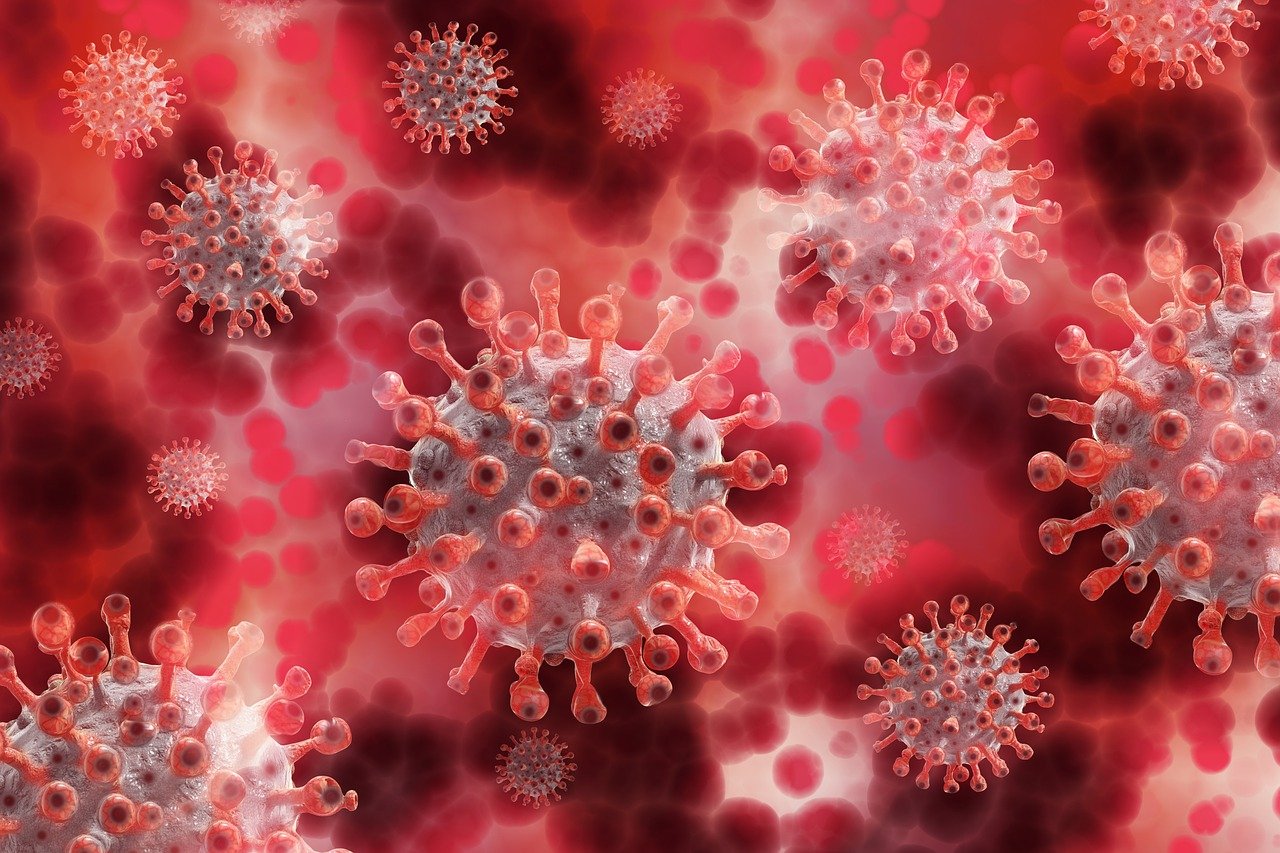 Coronavirus covid: des mesures gouvernementales pour venir en aide à l’économie belge